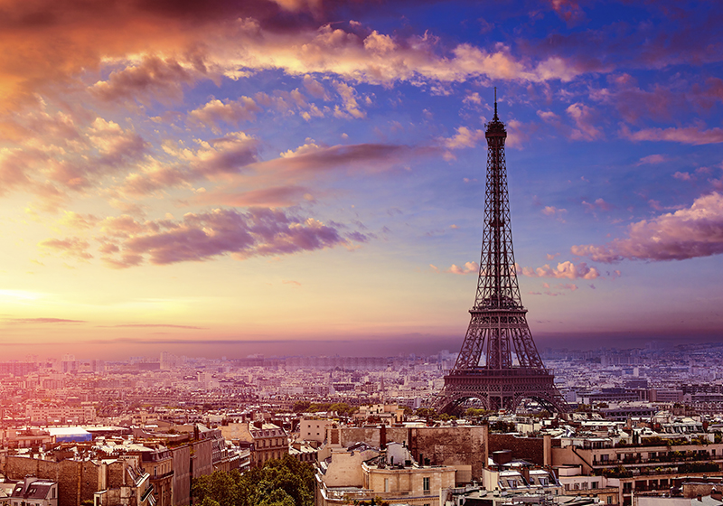Purple vinyl rug with paris skyline design - TenStickers
