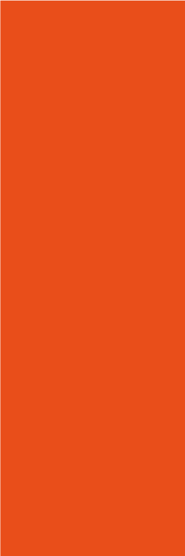 Orange vinyl rug in vibrant citrus hue - TenStickers