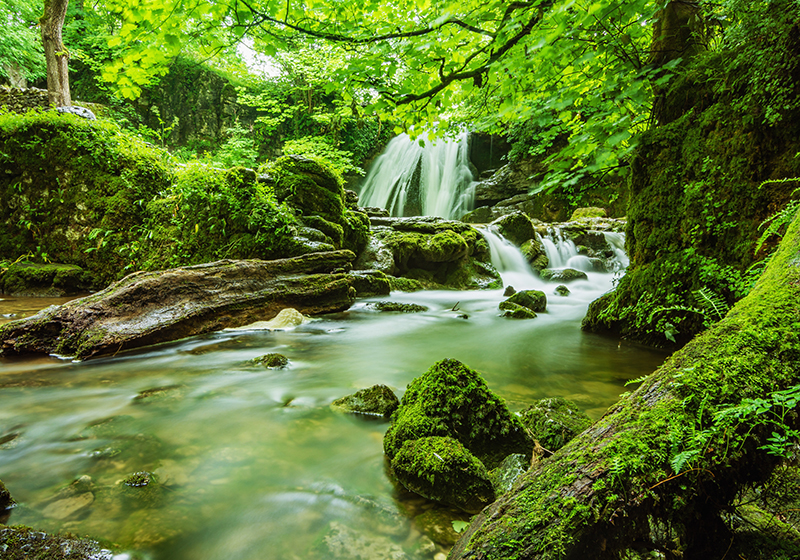 Green vinyl rug tranquil waterfall - TenStickers