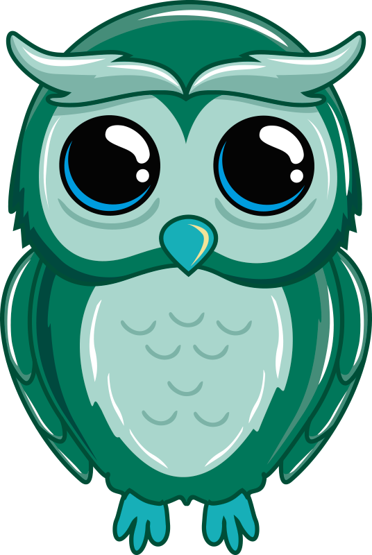 Cartoon Owl Illustration kids vinyl rug - TenStickers