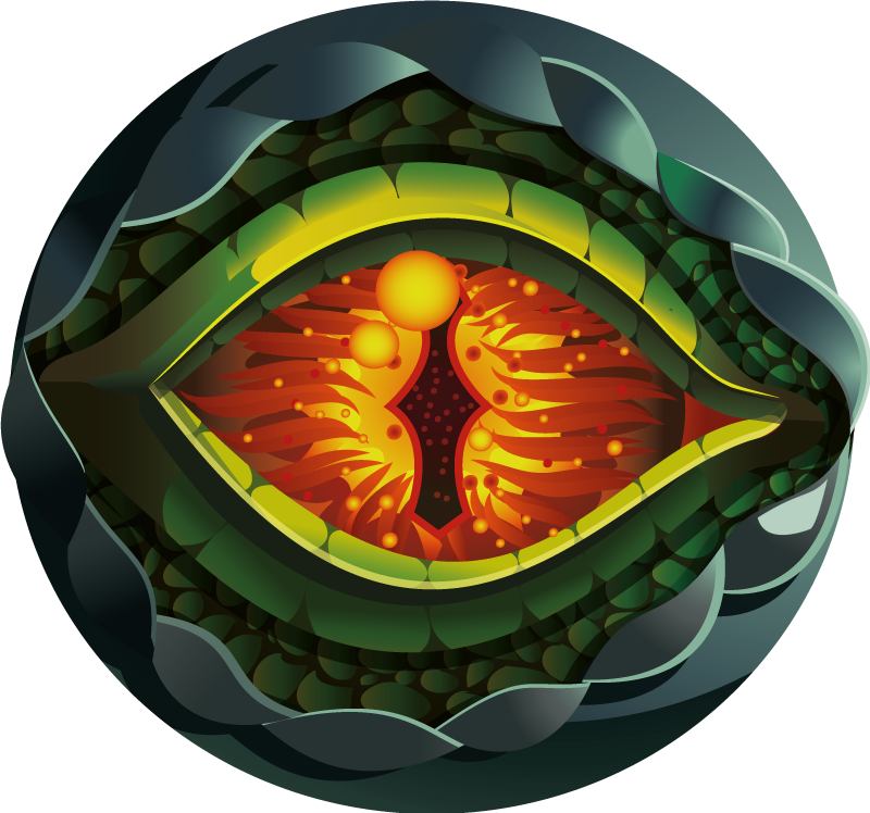 Conceptual Nature Eye nature vinyl rug - TenStickers
