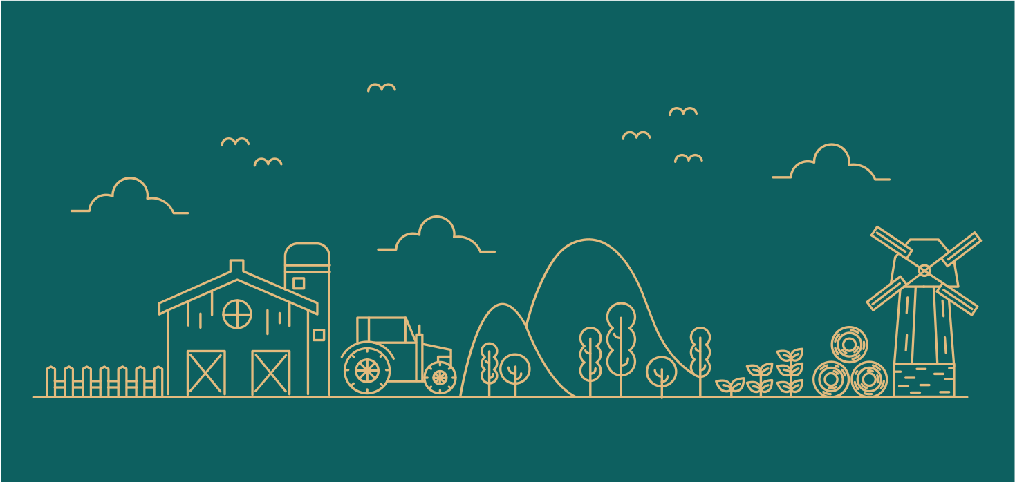 Educational Farm Game vinyl rug gaming - TenStickers