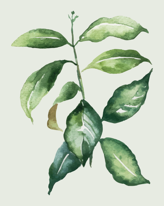 Lime palm leaf floral rug - TenStickers