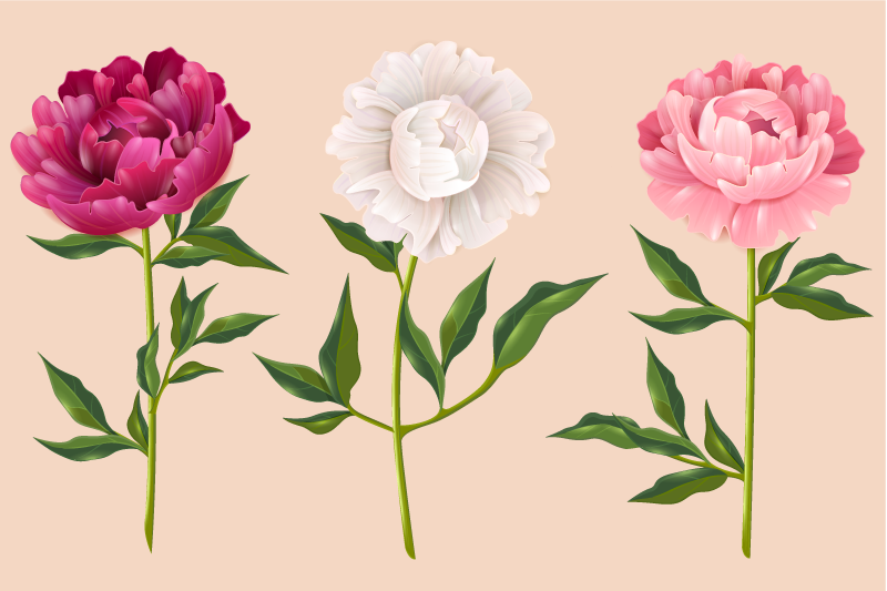 Elegant trio arrangement vinyl rug bathroom - TenStickers