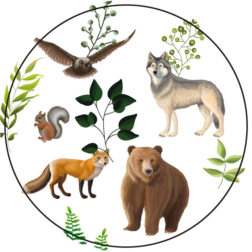 Multiple animals design animal rug - TenStickers