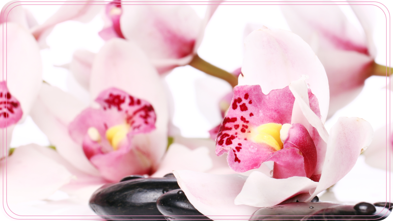 Elegant orchid design vinyl rug flowers - TenStickers
