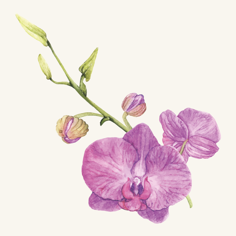 Purple Orchid Blooms vinyl rug flowers - TenStickers