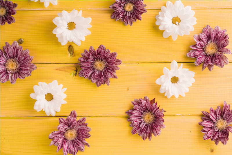 Pink and white petals vinyl rug flowers - TenStickers
