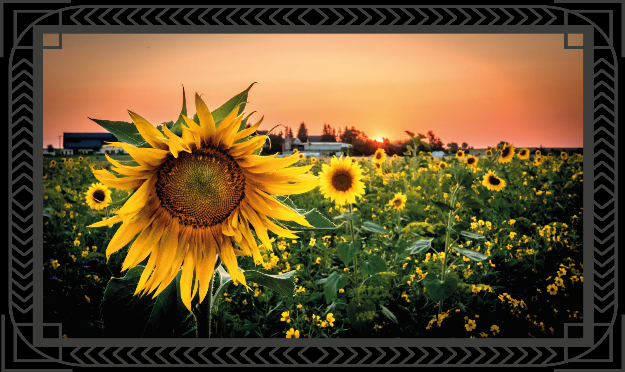 Sunflower sunset vinyl rug flowers - TenStickers