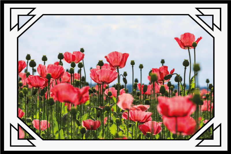 Colorful poppy field vinyl rug flowers - TenStickers
