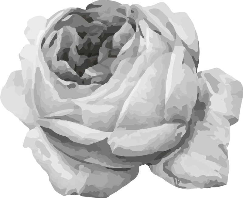 Gray rose nature vinyl rug - TenStickers