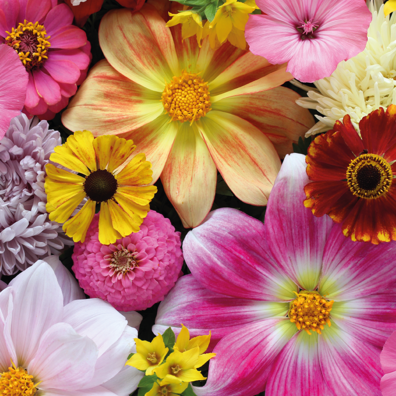 Beautiful realistic arrangement vinyl rug flowers - TenStickers