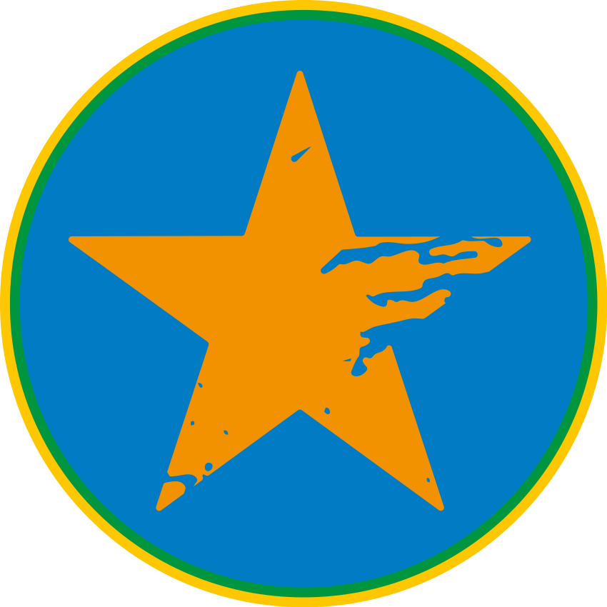 Blue Star Accent vinyl rug - TenStickers