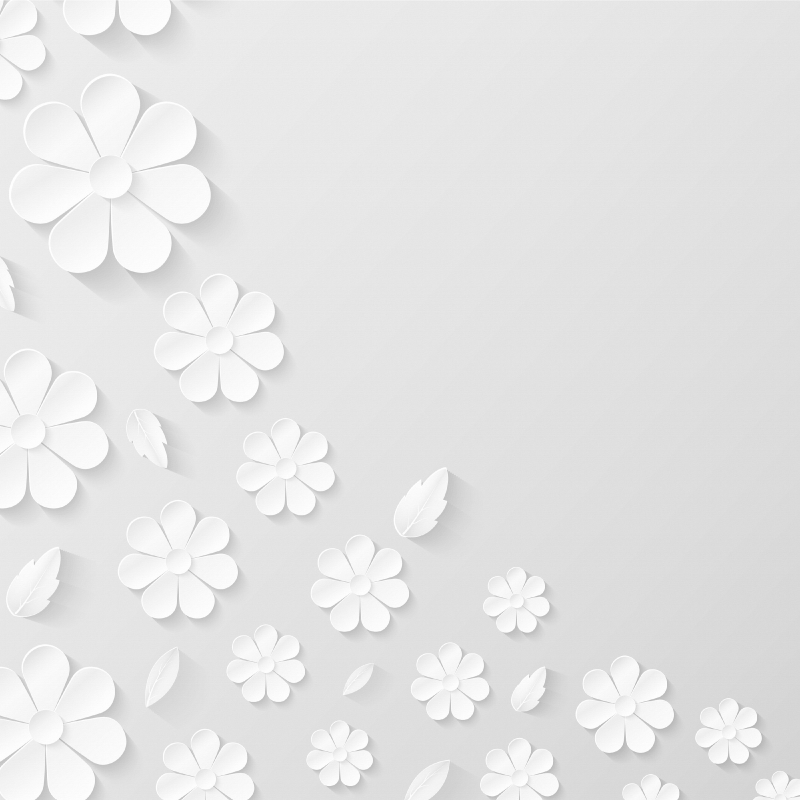 White paper flower background rug - TenStickers