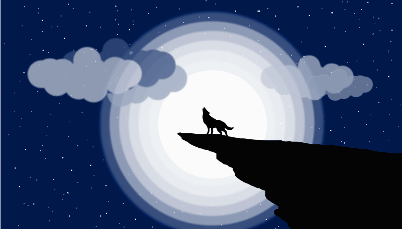 Crescent Moon Howl teenage bedroom vinyl rug - TenStickers