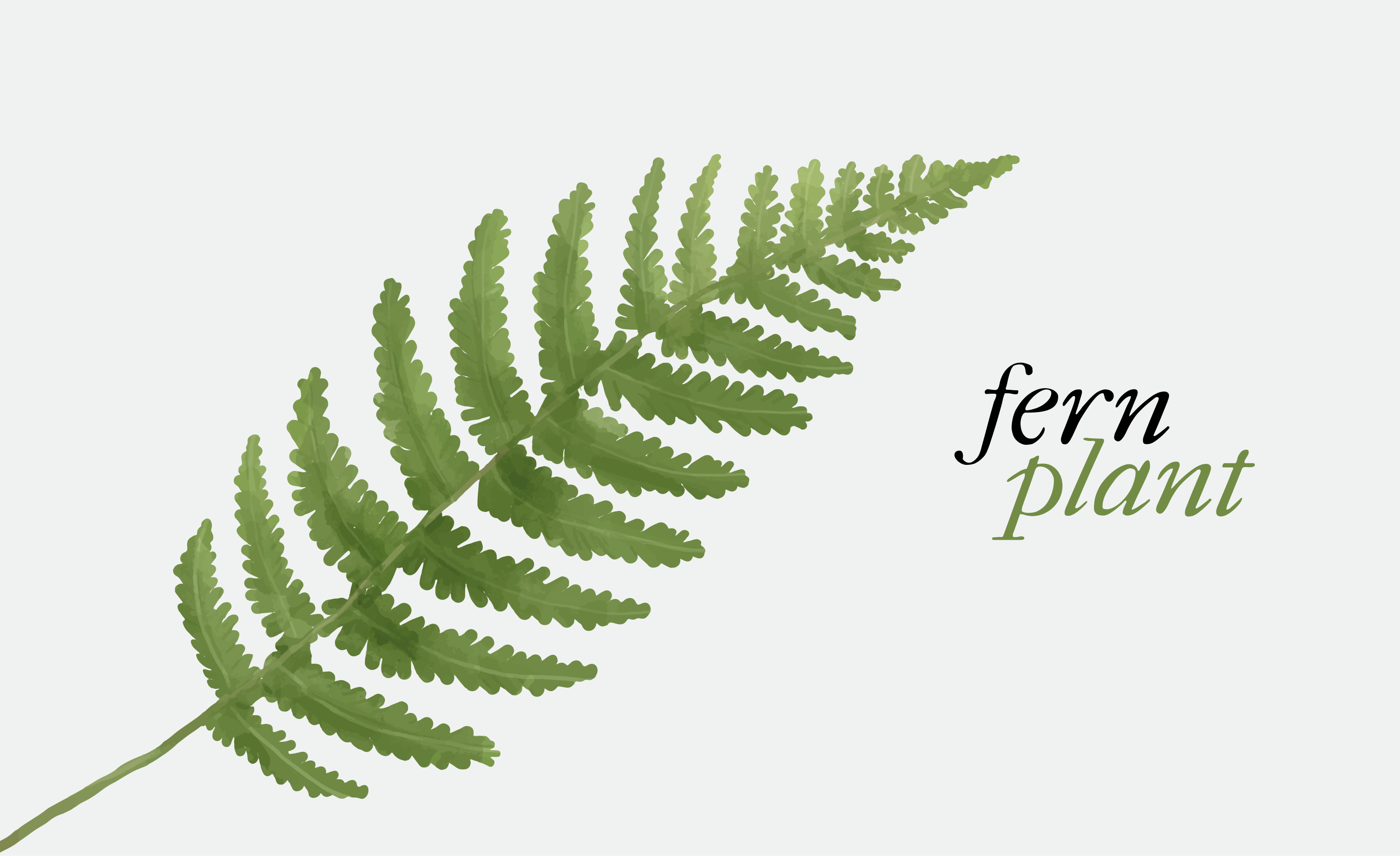 Fern plant design vinyl rug flowers - TenStickers