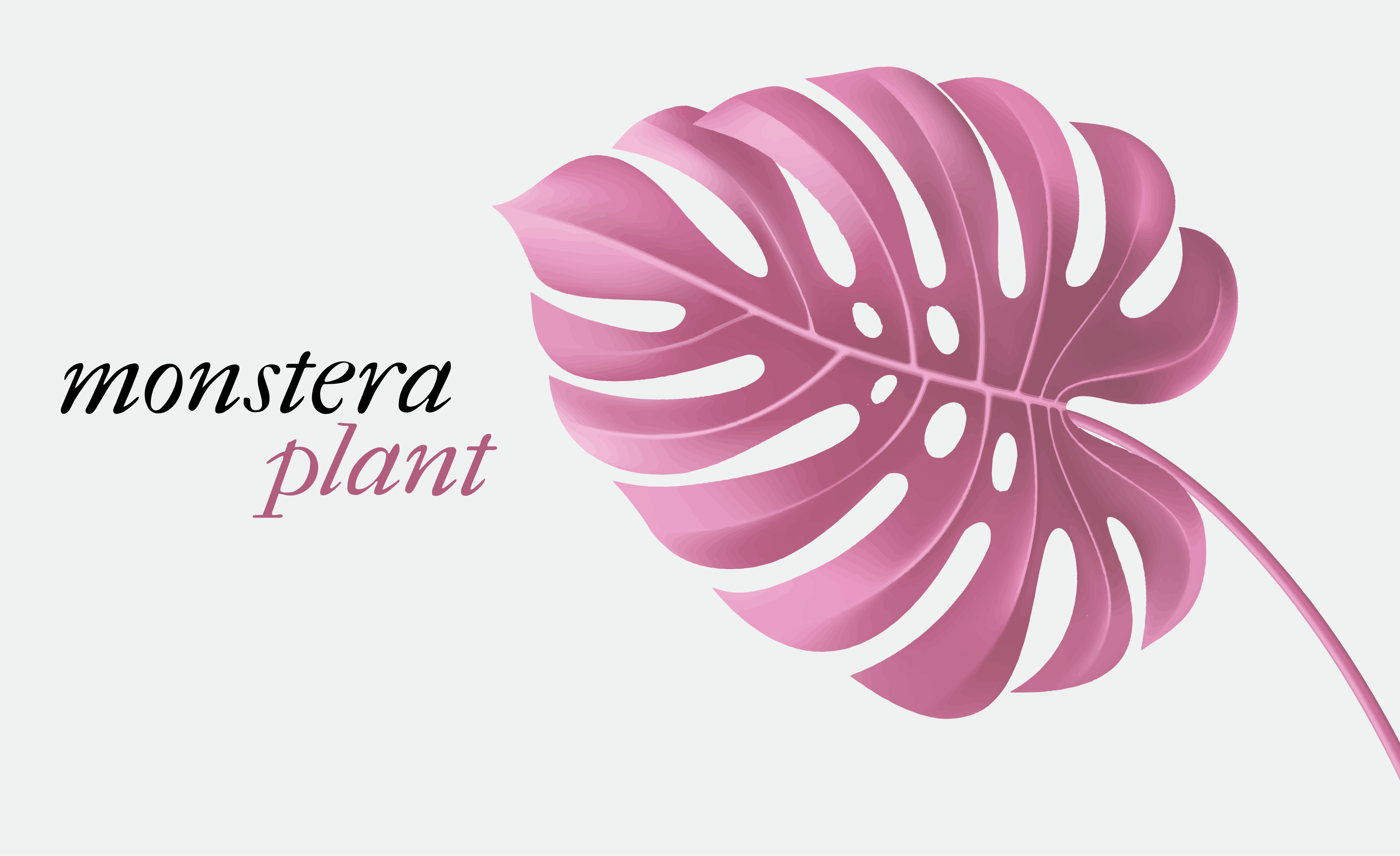 Pink monstera plant vinyl rug flowers - TenStickers
