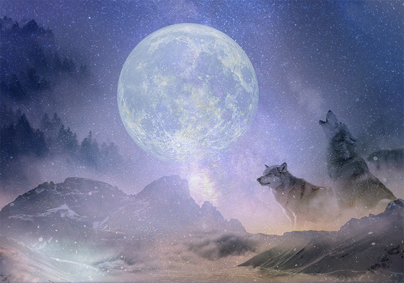 Majestic moonlight nature vinyl rug - TenStickers