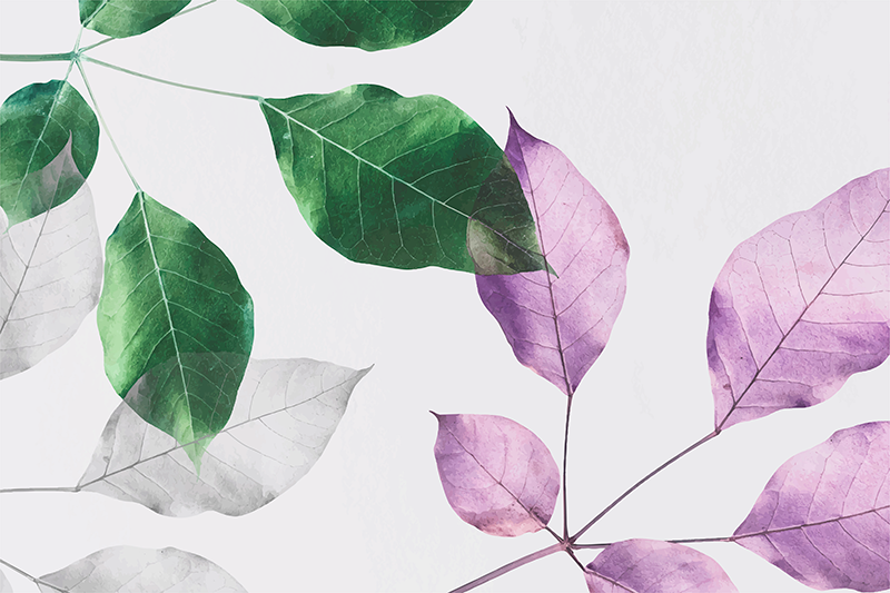 Leafy Botanical Prints vinyl rug flowers - TenStickers