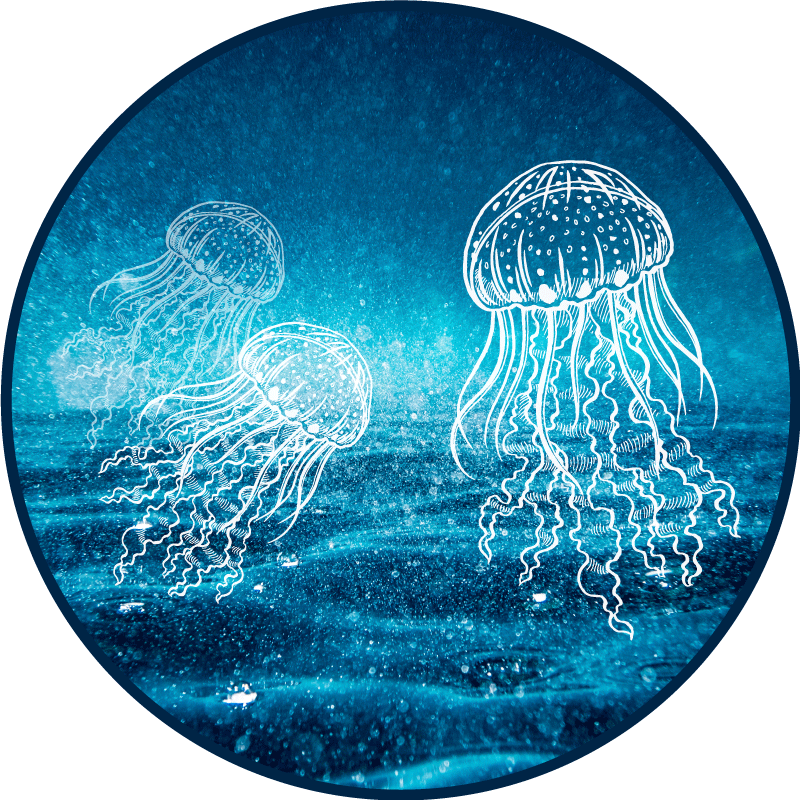 Jellyfish Ocean Scene animal vinyl rug - TenStickers