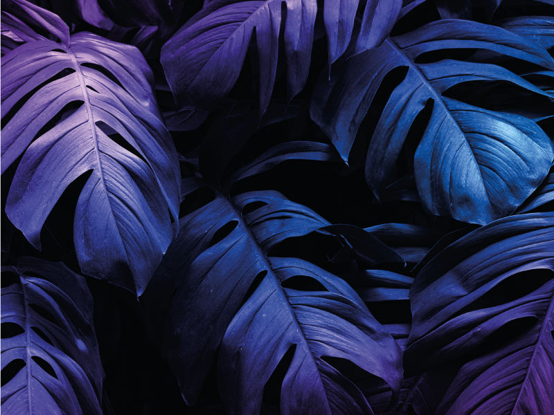 Tropical leaf design floral vinyl rug - TenStickers