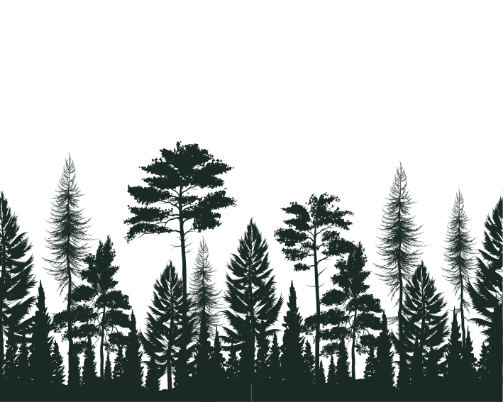 Silhouetted Forest nature vinyl rug - TenStickers