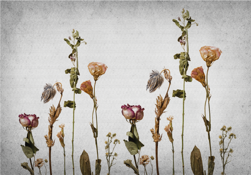 Botanical Imagery vinyl rug flowers - TenStickers