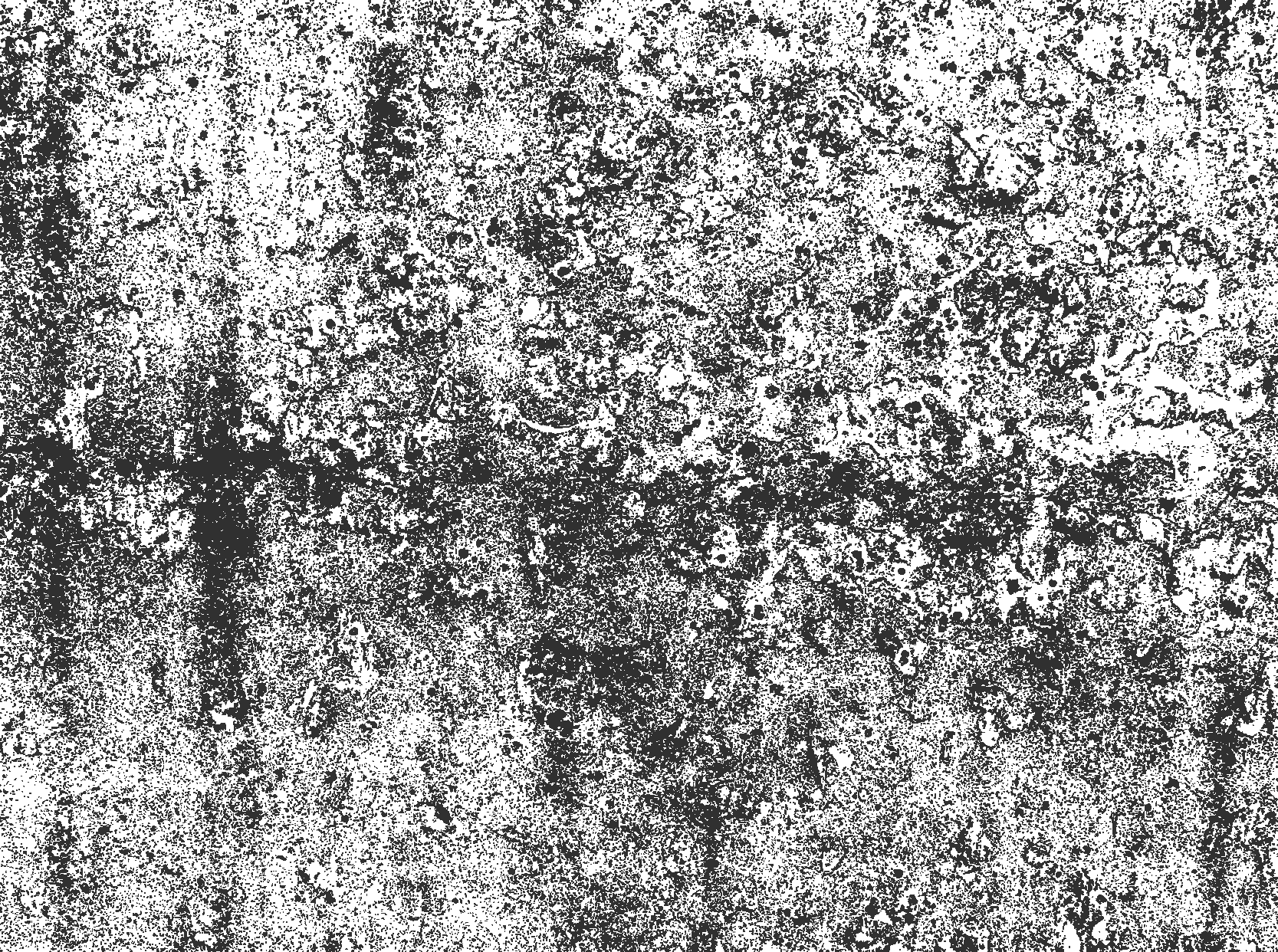 Faded grey dining room vinyl rug - TenStickers