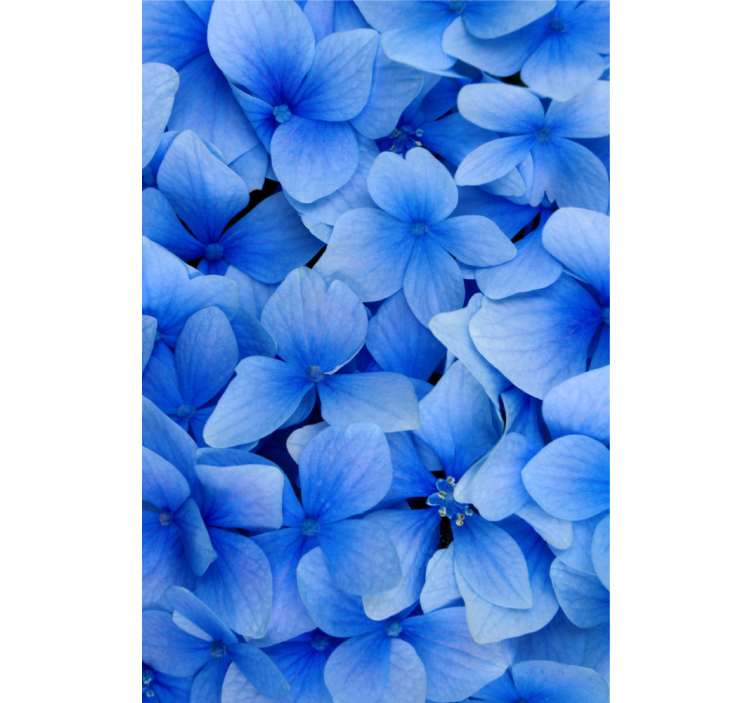 Living room wallpaper hydrangea petals design - TenStickers