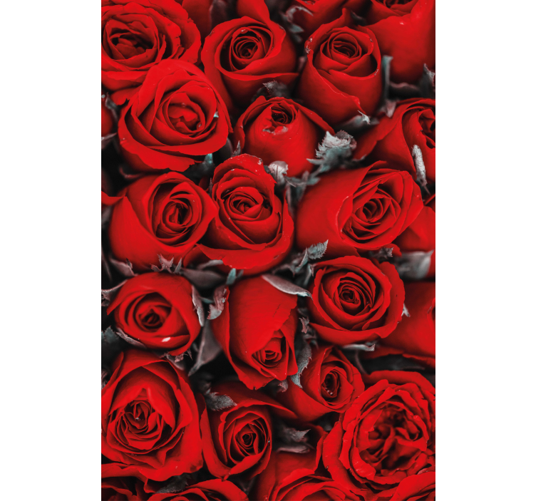 Flower wallpaper red roses romance - TenStickers
