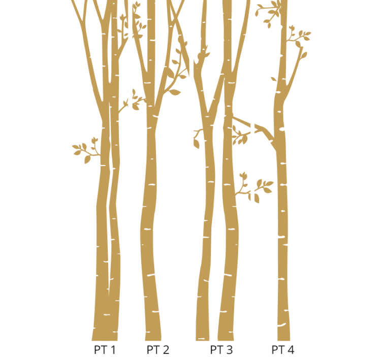 "New nostalgia" birch tree wallpaper - TenStickers